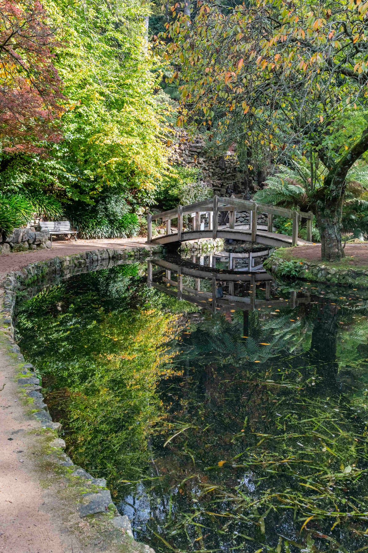 Crossing the Stillness