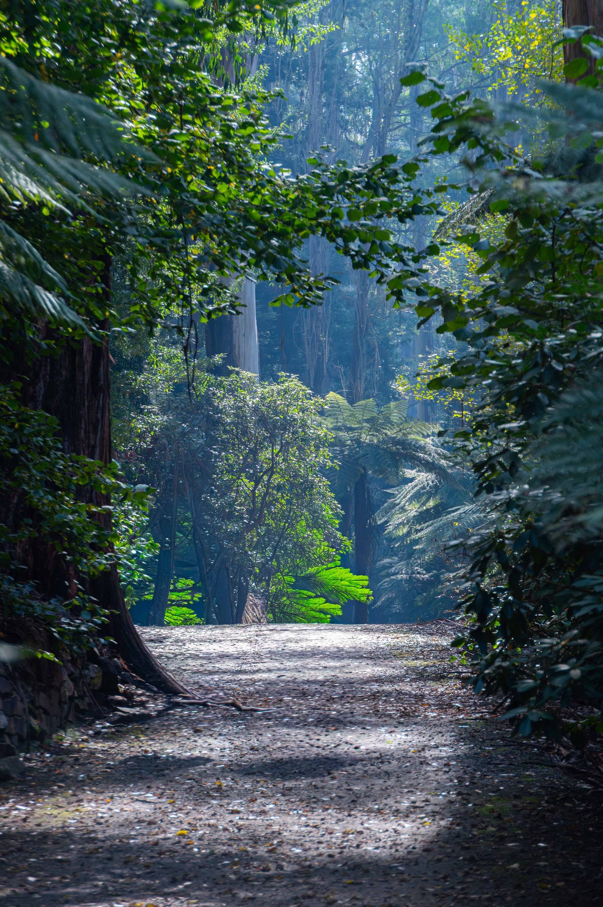 Into the Clearing