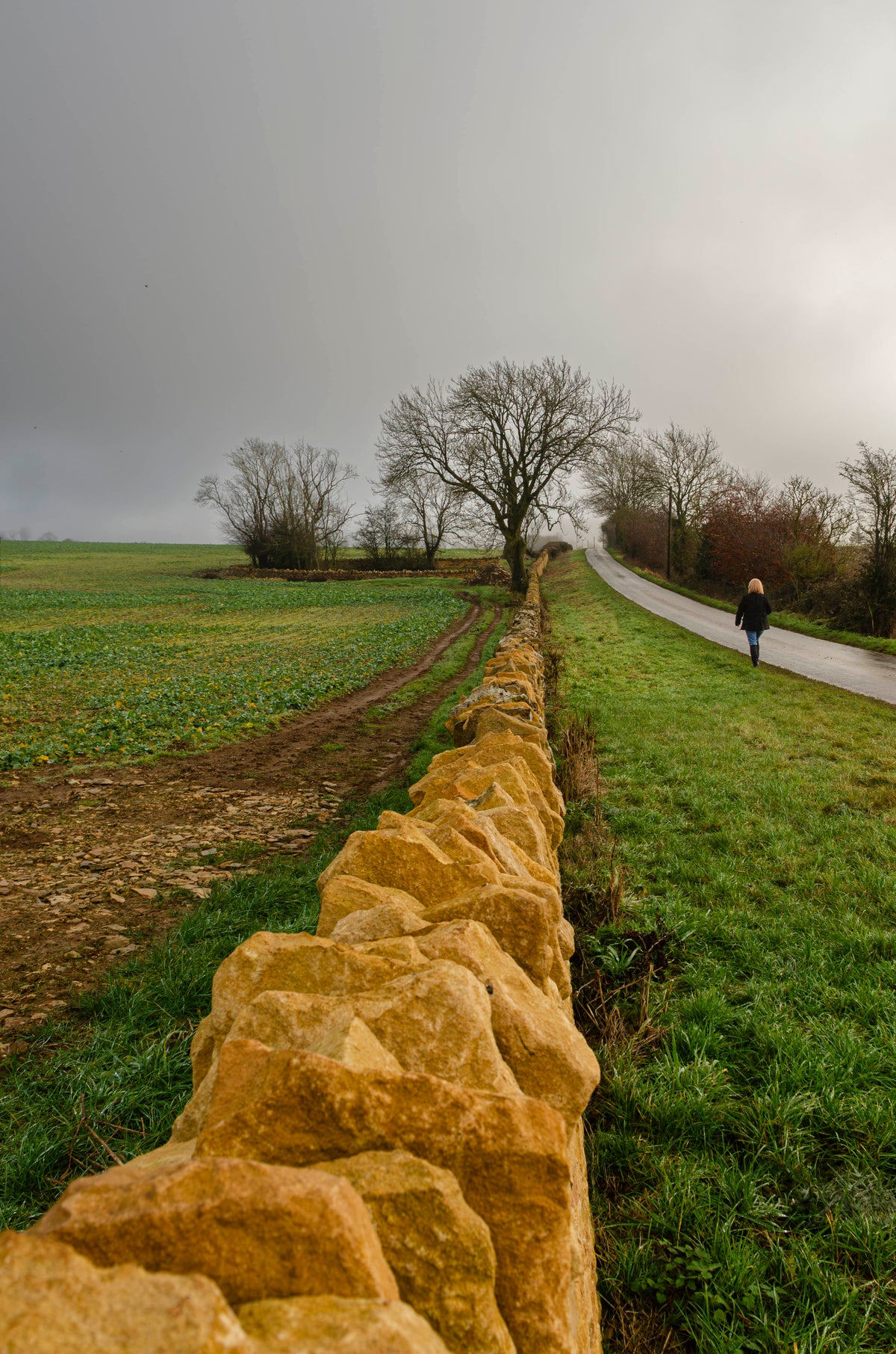 The Long Divide