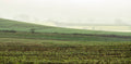 Across the Lowlands