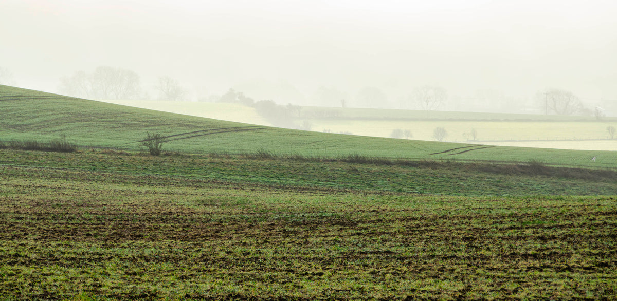 Across the Lowlands