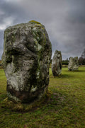 Face of Stone