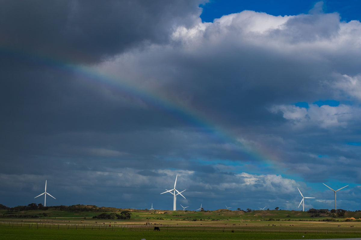 Between Light and Weather