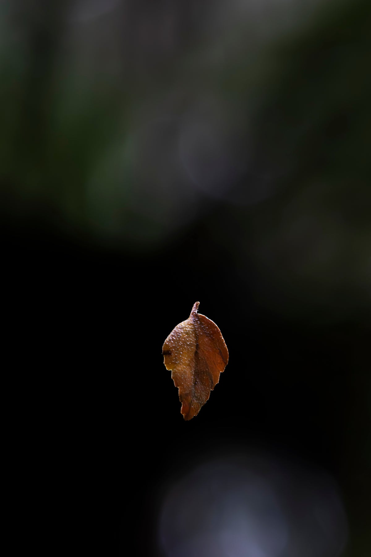Suspended