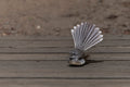 Fan Dancer