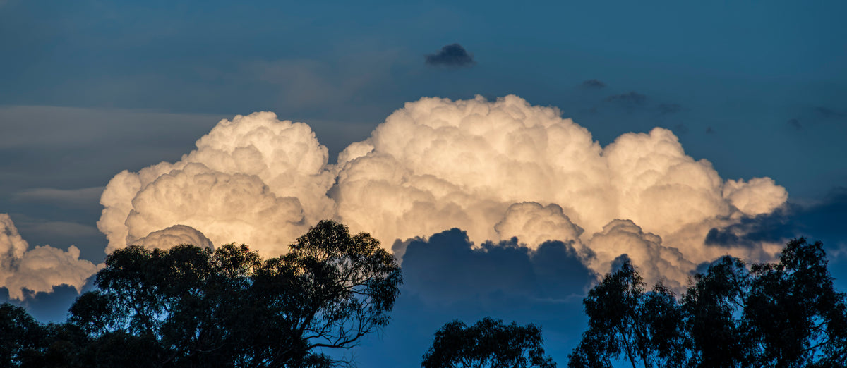Cloud Citadel