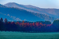 Layers of Autumn Light