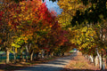Autumn’s Edge