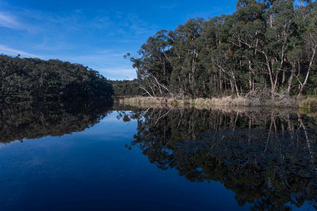 Mirrored Water
