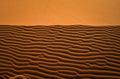 Desert Waves