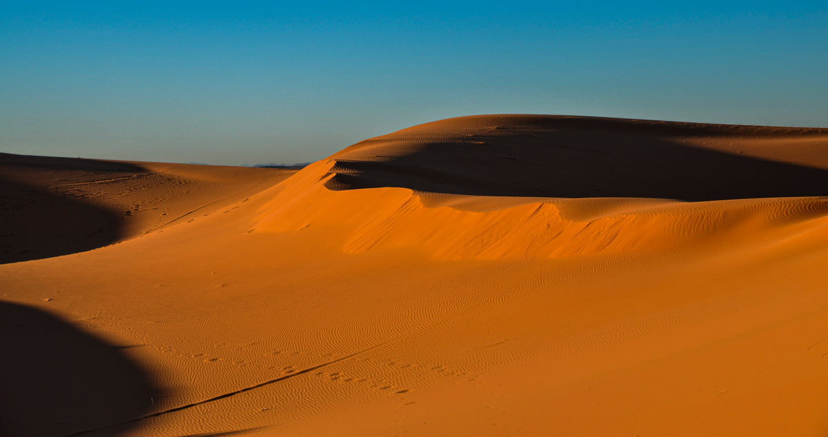 The Shape of Silence
