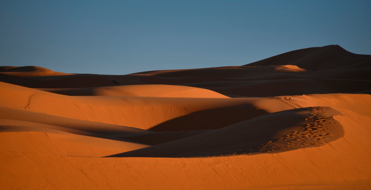 The Language of Shadows