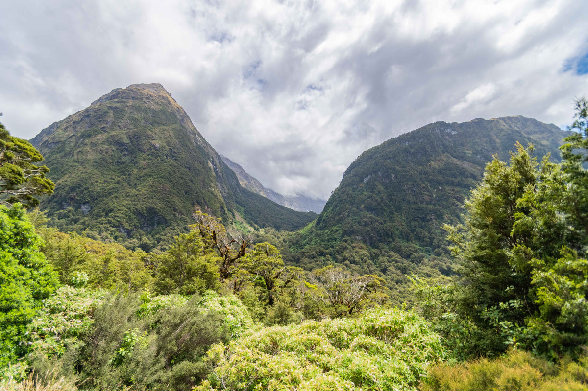 Between Two Peaks