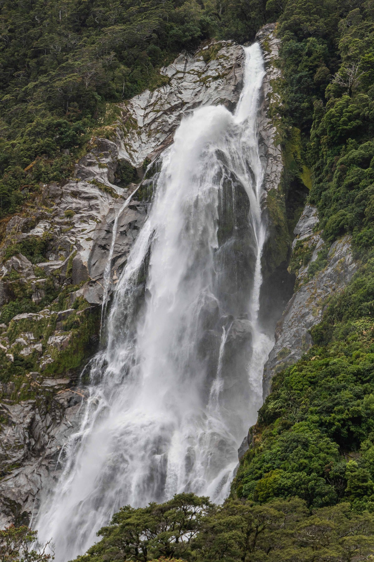 The Roaring Veil