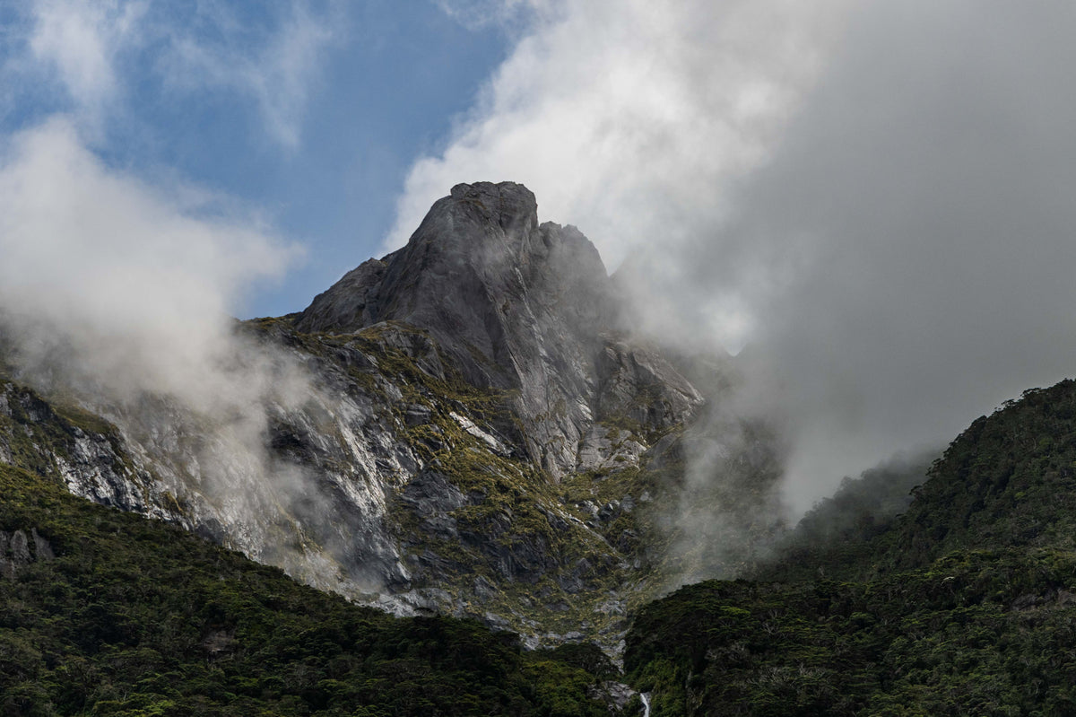 Into the Mist-Bound Fjord