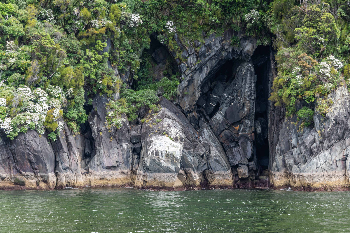 Secret Door, Milford Sound
