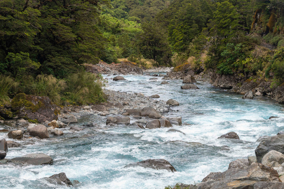 The River’s Path