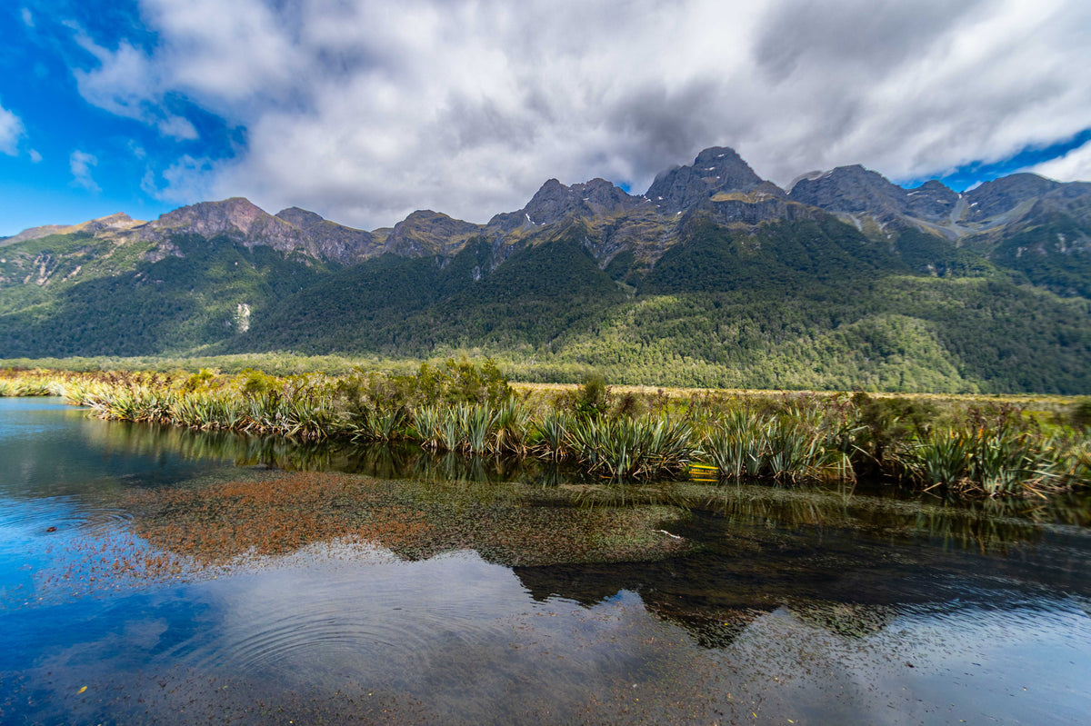 Where Peaks Meet Water