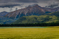 TranzAlpine Tapestry