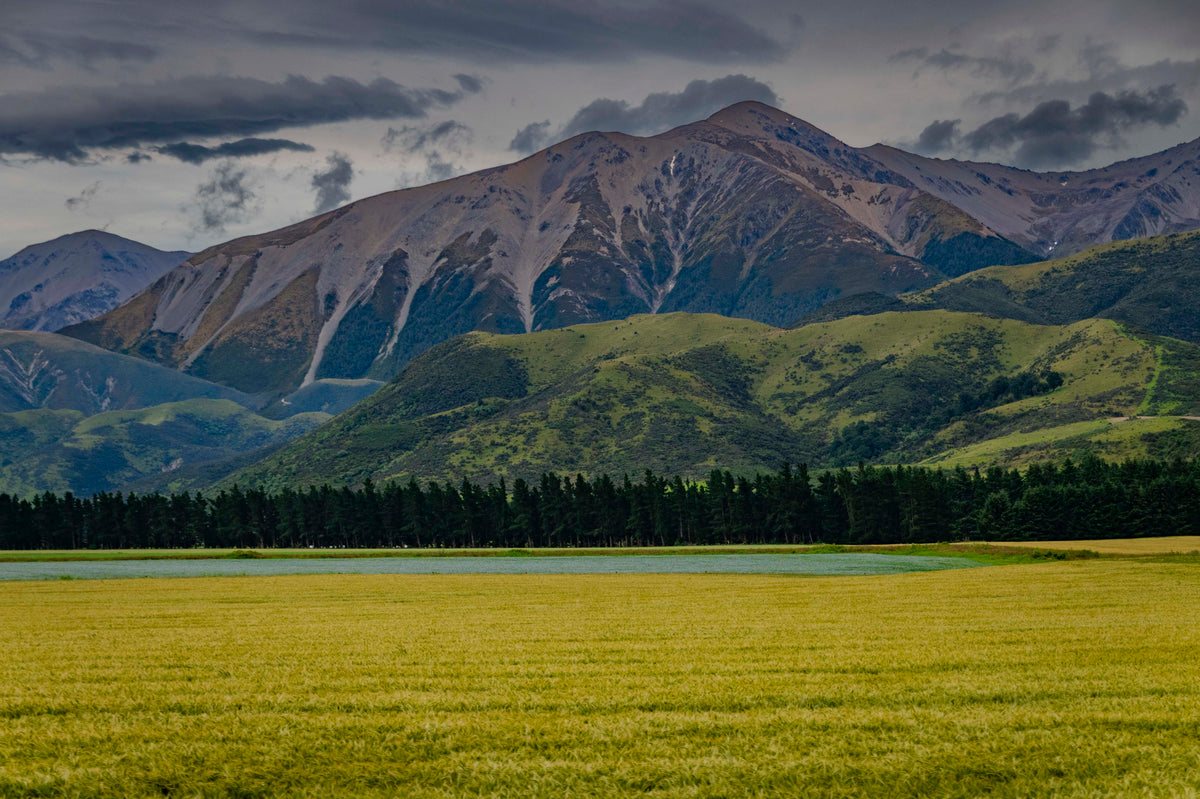 TranzAlpine Tapestry