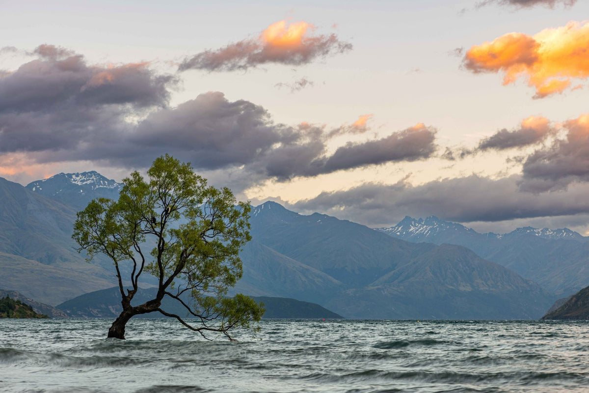 Wanaka Sunset