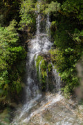 Forest Cascade
