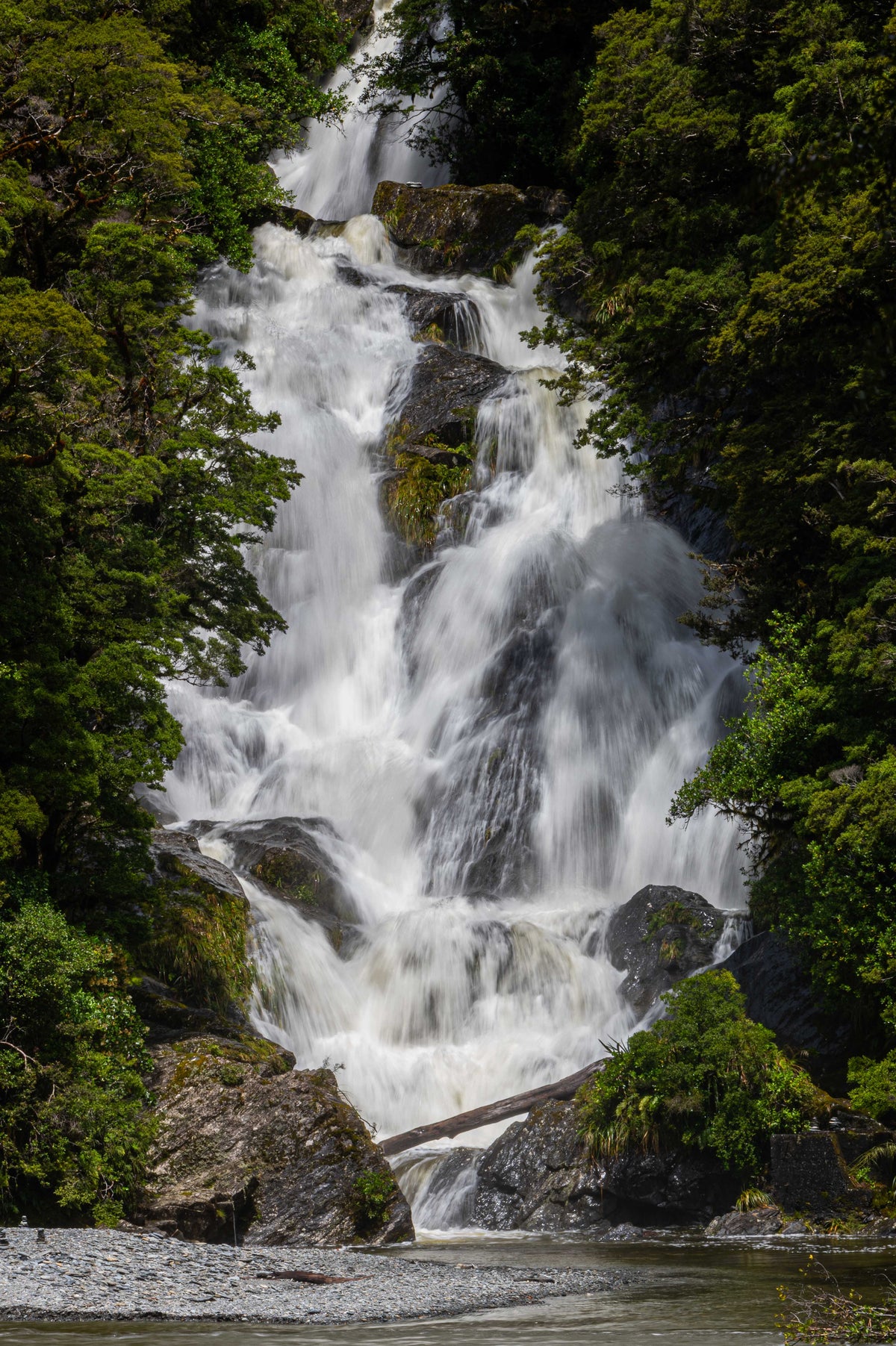 The Drama of Water