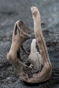 Driftwood Sculpture
