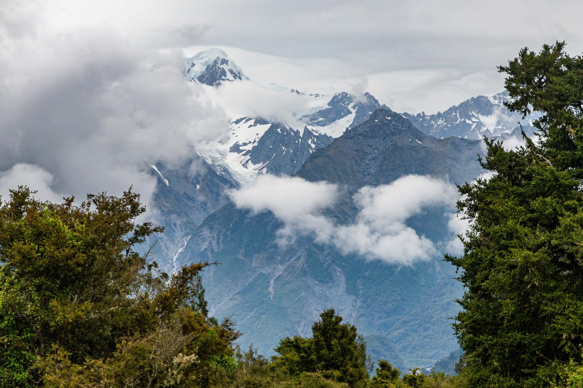 View to Mount Tasman
