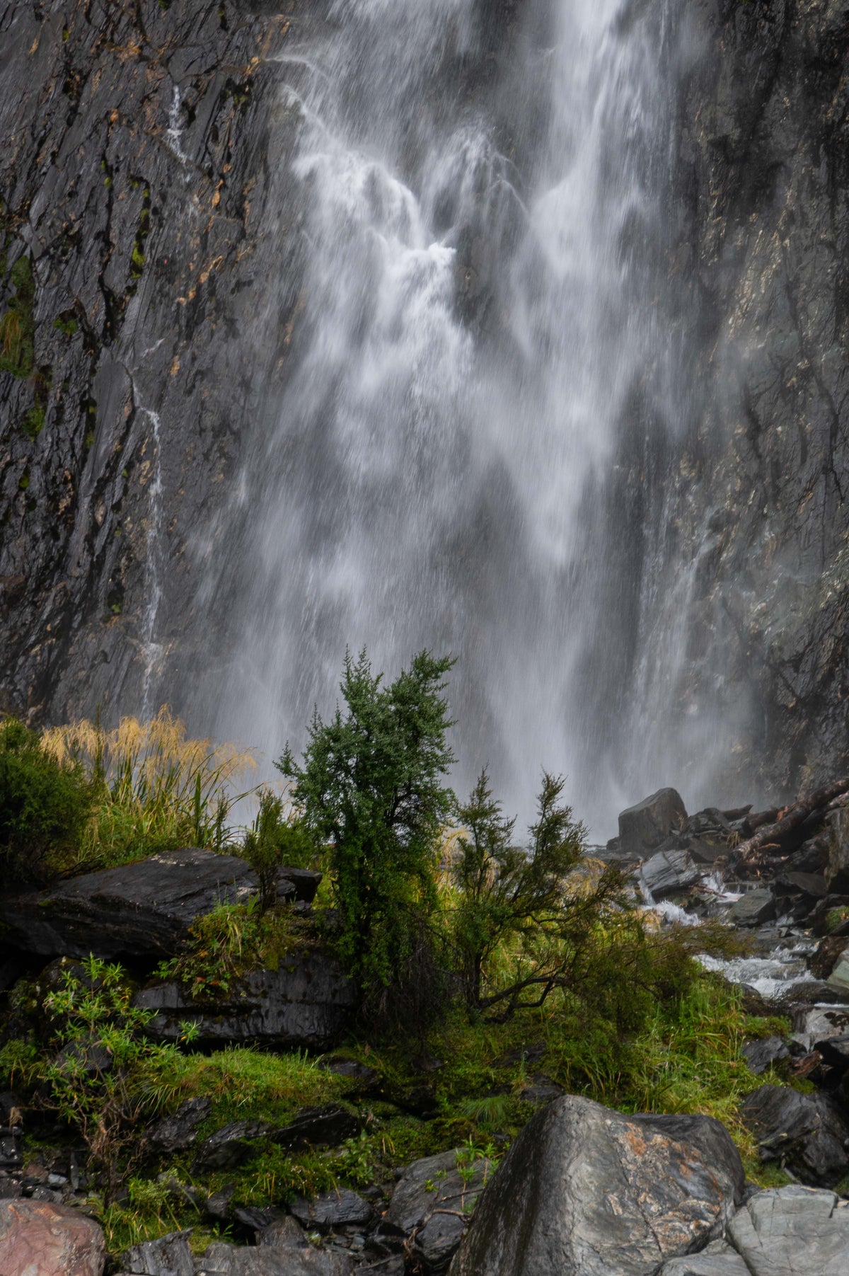 Watery Curtain