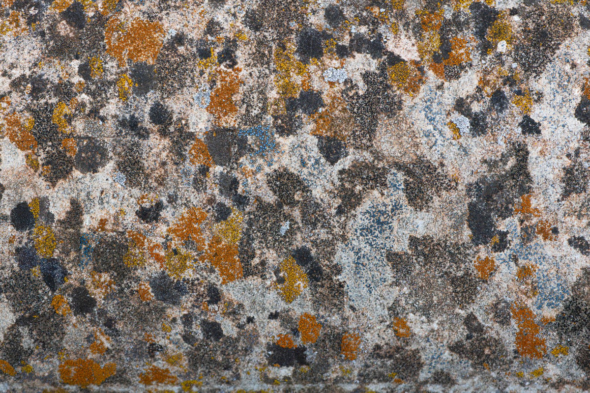 Decay as Modern Art