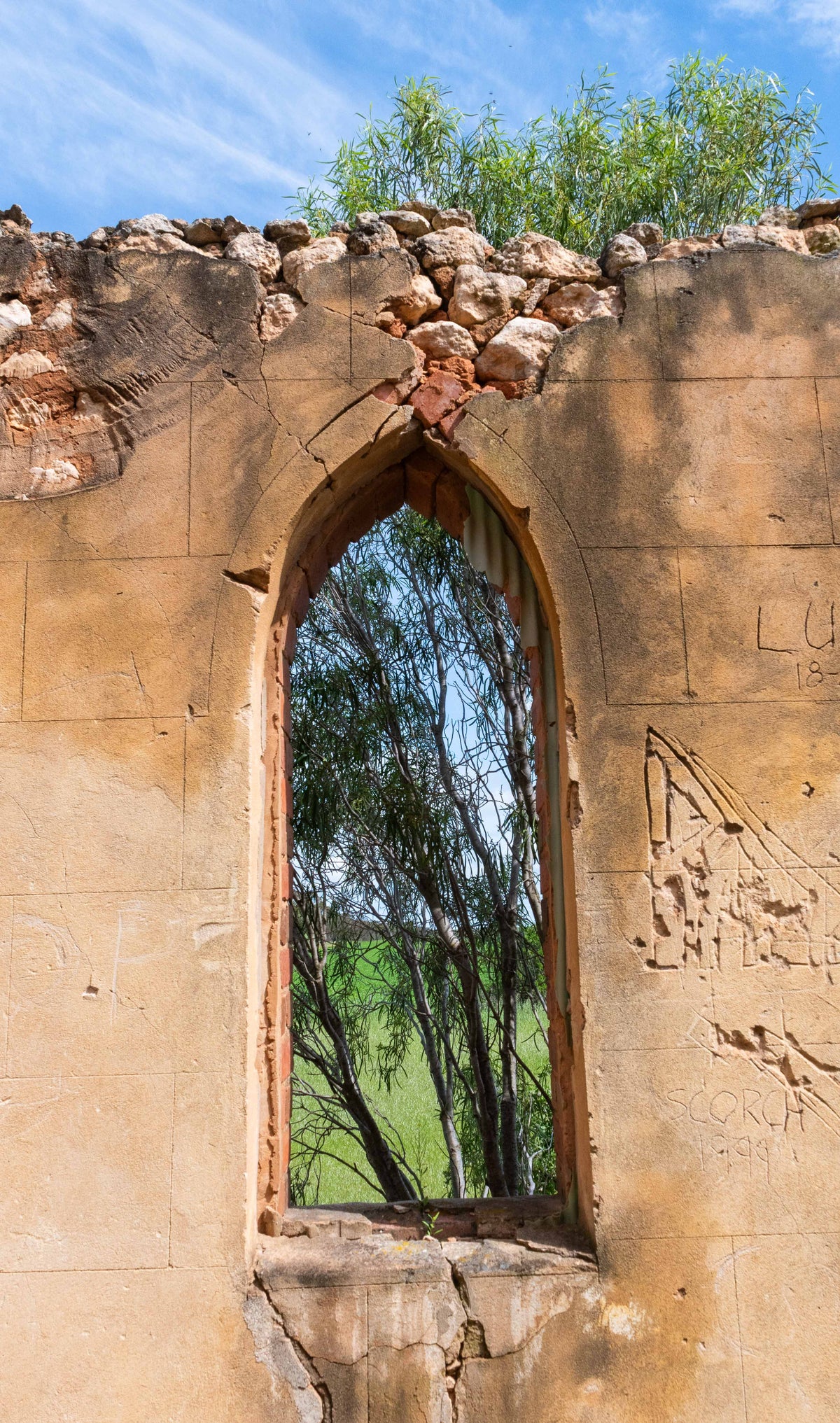 Window of Time