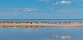 Lake Tyrrell Reflections