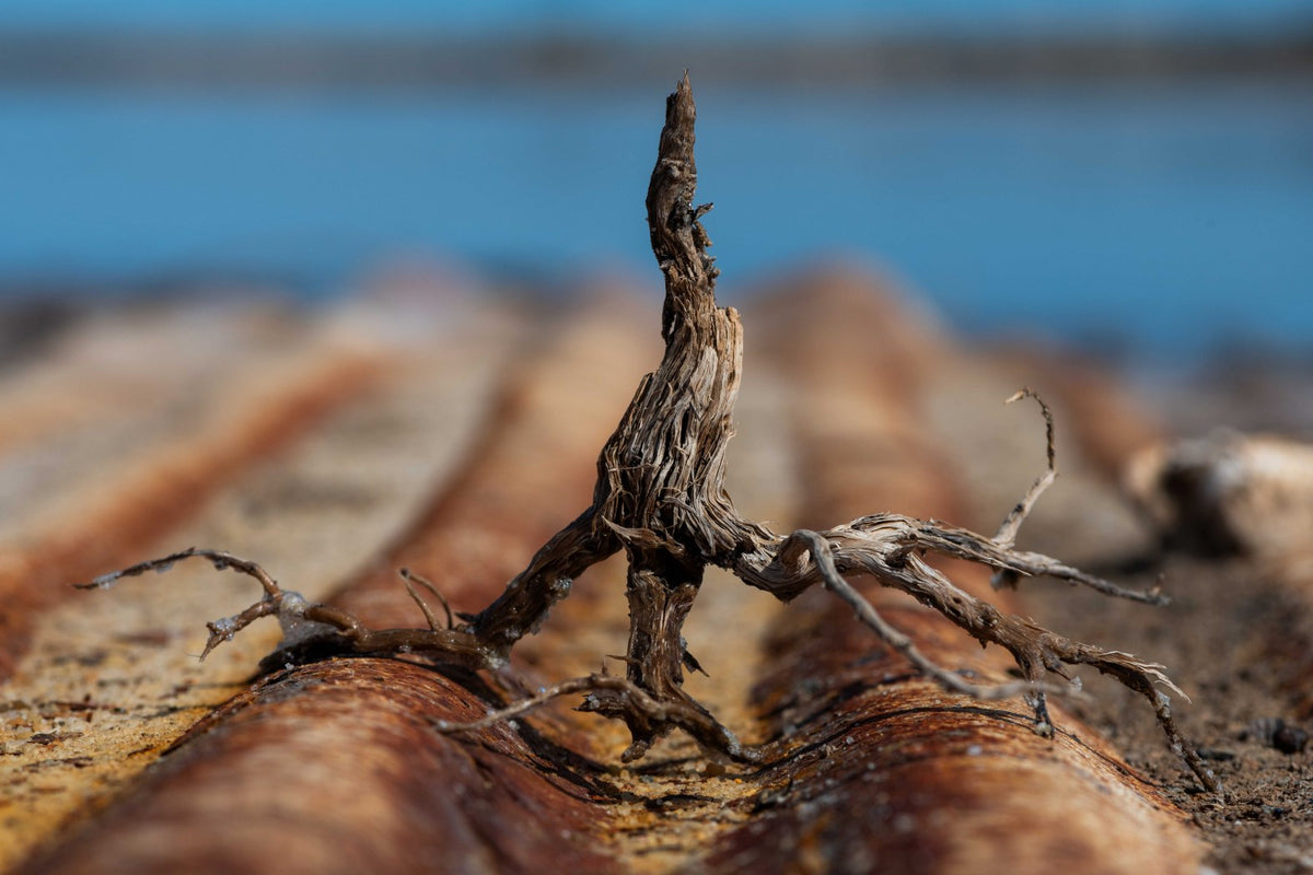 Iron and Wood