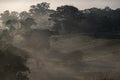 Valley Veil