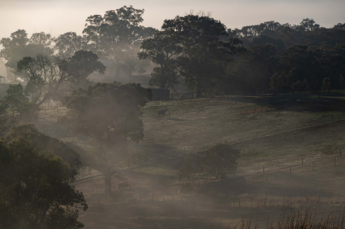 Valley Veil