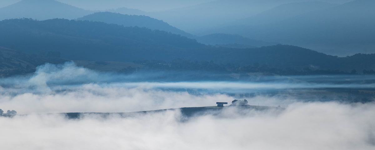 Where Fog Is Born
